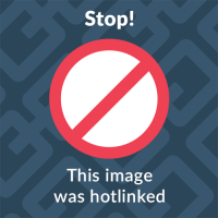 ضمان شامل على التصليح